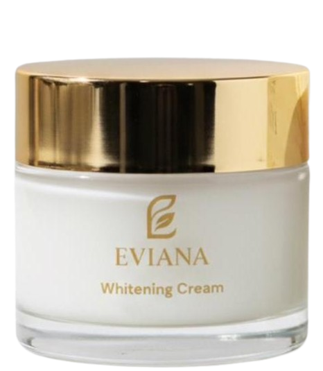 WhatsApp_Image_2025-11-29_at_22.46.14-removebg-preview